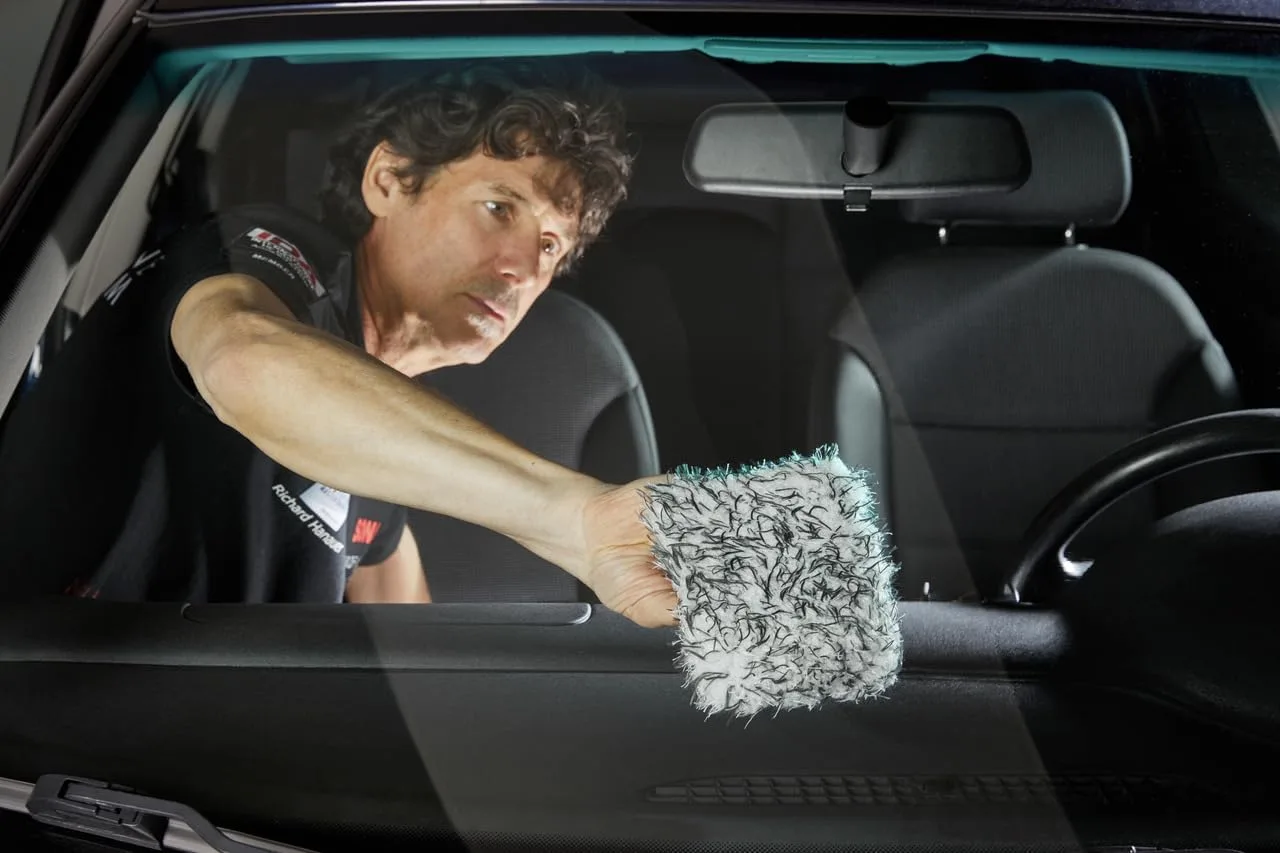 sonax Insect Sponge