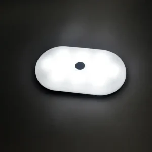 LED Car Ceiling Light