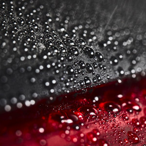 sonax profiline ceramic coating cc pro (4 years)