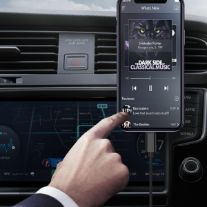 iPhone charger CABLE